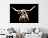 Sepia Texas Longhorn Canvas Print // Close-up Portrait of Texas Longhorn Cow with Black Background // Sepia Wall Decor