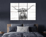 Texas Longhorn Canvas Print // Close-up Portrait of Texas Longhorn Cow // Longhorn White Wood Background Canvas Print