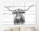 Texas Longhorn Canvas Print // Close-up Portrait of Texas Longhorn Cow // Longhorn White Wood Background Canvas Print