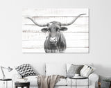 Texas Longhorn Canvas Print // Close-up Portrait of Texas Longhorn Cow // Longhorn White Wood Background Canvas Print