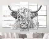 Highland Cow White Wood Background Canvas Print