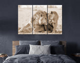 Lions in Love Sepia Canvas Print // Lion Couple Sepia Wall Art