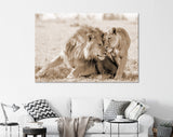 Lions in Love Sepia Canvas Print // Lion Couple Sepia Wall Art