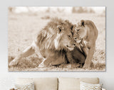 Lions in Love Sepia Canvas Print // Lion Couple Sepia Wall Art