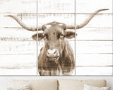 Texas Longhorn Canvas Print Sepia // Sepia Close-up Portrait of Texas Longhorn Cow // Longhorn White Wood Background Sepia Canvas Print