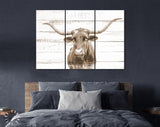 Texas Longhorn Canvas Print Sepia // Sepia Close-up Portrait of Texas Longhorn Cow // Longhorn White Wood Background Sepia Canvas Print