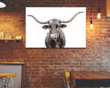 Texas Longhorn Canvas Print // Close-up Portrait of Texas Longhorn Cow // Black and White Wall Decor