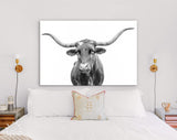 Texas Longhorn Canvas Print // Close-up Portrait of Texas Longhorn Cow // Black and White Wall Decor