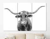 Texas Longhorn Canvas Print // Close-up Portrait of Texas Longhorn Cow // Black and White Wall Decor