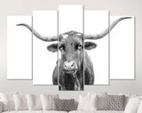 Texas Longhorn Canvas Print // Close-up Portrait of Texas Longhorn Cow // Black and White Wall Decor