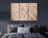 Wood Texture Canvas Print // Cross-Section of Tree Trunk Canvas Wall Decor // Luxury Abstract Printing