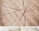 Wood Texture Canvas Print // Cross-Section of Tree Trunk Canvas Wall Decor // Luxury Abstract Printing