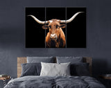 Reddish Brown Texas Longhorn Canvas Print // Close-up Portrait of Reddish Brown Cow with a Black Background