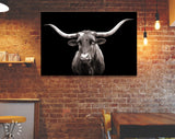 Texas Longhorn Canvas Print // Portrait of Texas Longhorn Cow with a Black Background // Black and White Wall Art