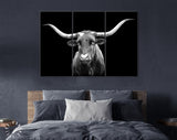 Texas Longhorn Canvas Print // Portrait of Texas Longhorn Cow with a Black Background // Black and White Wall Art