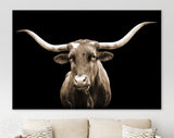 Sepia Texas Longhorn Canvas Print // Close-up Portrait of Texas Longhorn Cow with Black Background // Sepia Wall Decor