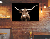 Sepia Texas Longhorn Canvas Print // Close-up Portrait of Texas Longhorn Cow with Black Background // Sepia Wall Decor