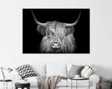 Highland Cow Canvas Print // The Black and White Highland Cow With The Black Background // Black And White Wall Art