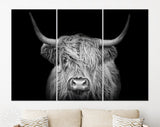 Highland Cow Canvas Print // The Black and White Highland Cow With The Black Background // Black And White Wall Art