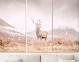 Stag Canvas Print // Portrait of a wild Scottish stag in the Highlands