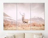 Stag Canvas Print // Portrait of a wild Scottish stag in the Highlands