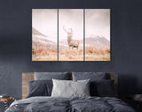 Stag Canvas Print // Portrait of a wild Scottish stag in the Highlands