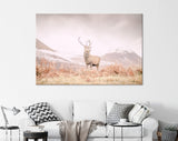 Stag Canvas Print // Portrait of a wild Scottish stag in the Highlands