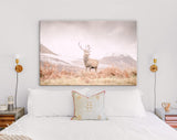 Stag Canvas Print // Portrait of a wild Scottish stag in the Highlands