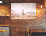 Stag Canvas Print // Portrait of a wild Scottish stag in the Highlands