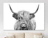 Highland Cow Canvas Print // Highland Cow Black and White Canvas Wall Decor