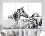 Wild Horses Canvas Print // Farmhouse Wall Art // Black and White Wall Decor