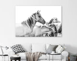 Wild Horses Canvas Print // Farmhouse Wall Art // Black and White Wall Decor