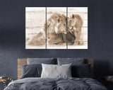 Lions in Love Sepia Canvas Print // White Wood Texture Canvas Print Sepia// Lion Couple Sepia Wall Art