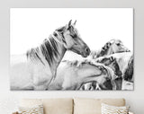 Wild Horses Canvas Print // Farmhouse Wall Art // Black and White Wall Decor