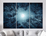 Night Sky Canvas Print // The Moon and The Trees Milky Way Wall Art