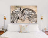 Zebras in Love Canvas Print // Couple of Zebras Wall Art // Zebra Wall Decor Love Wall Art // Cuddles Between Two Zebras // Animals in Love