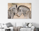 Zebras in Love Canvas Print // Couple of Zebras Wall Art // Zebra Wall Decor Love Wall Art // Cuddles Between Two Zebras // Animals in Love