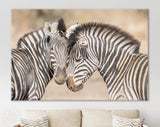 Zebras in Love Canvas Print // Couple of Zebras Wall Art // Zebra Wall Decor Love Wall Art // Cuddles Between Two Zebras // Animals in Love