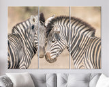 Zebras in Love Canvas Print // Couple of Zebras Wall Art // Zebra Wall Decor Love Wall Art // Cuddles Between Two Zebras // Animals in Love