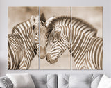 Zebras in Love Canvas Print // Sepia Wall Art // Couple of Zebras Print // Zebra Wall Decor // Cuddles Between Two Zebras // Animals in Love