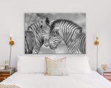 Zebras in Love Shadow Overlay Canvas Print // Black & White Couple of Zebras Wall Art // Cuddles Between Two Zebras // Animals in Love