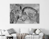 Zebras in Love Shadow Overlay Canvas Print // Black & White Couple of Zebras Wall Art // Cuddles Between Two Zebras // Animals in Love