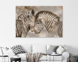 Zebras in Love Sepia Shadow Overlay Canvas Print // Zebra White Wood Background Canvas Print // Cuddles Between Two Zebras / Animals in Love