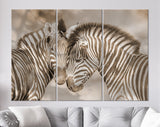 Zebras in Love Sepia Shadow Overlay Canvas Print // Zebra White Wood Background Canvas Print // Cuddles Between Two Zebras / Animals in Love