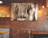 Hairy Cow Portrait Sepia Canvas Print // Highland Cattle Portrait Wall Art // Highland Cow Sepia Canvas Wall Decor // Scottish Breed of Cow