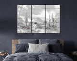 Arizona Desert Shadow Wood Texture Black & White Canvas Print // The Four Peaks and Saguaros // Central Arizona Desert