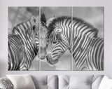 Zebras in Love Shadow Overlay Canvas Print // Black & White Couple of Zebras Wall Art // Cuddles Between Two Zebras // Animals in Love