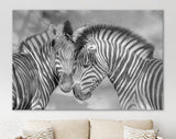 Zebras in Love Shadow Overlay Canvas Print // Black & White Couple of Zebras Wall Art // Cuddles Between Two Zebras // Animals in Love