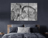 Zebras in Love Shadow Overlay Canvas Print // Black & White Couple of Zebras Wall Art // Cuddles Between Two Zebras // Animals in Love