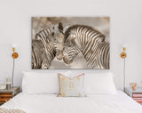 Zebras in Love Sepia Shadow Overlay Canvas Print // Zebra White Wood Background Canvas Print // Cuddles Between Two Zebras / Animals in Love